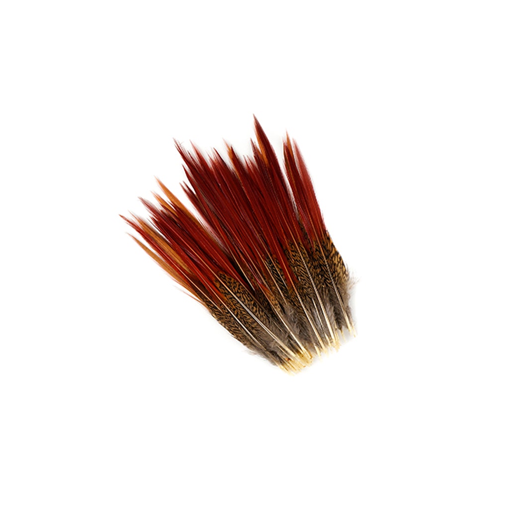 10 PC/PKG Golden Pheasant Red Top Tail Feathers 8-10" - Natural