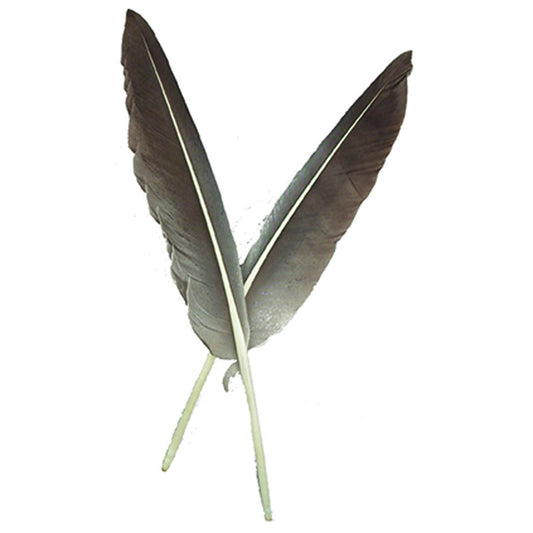 0.50 oz. Grey Duck Pointer Feathers
