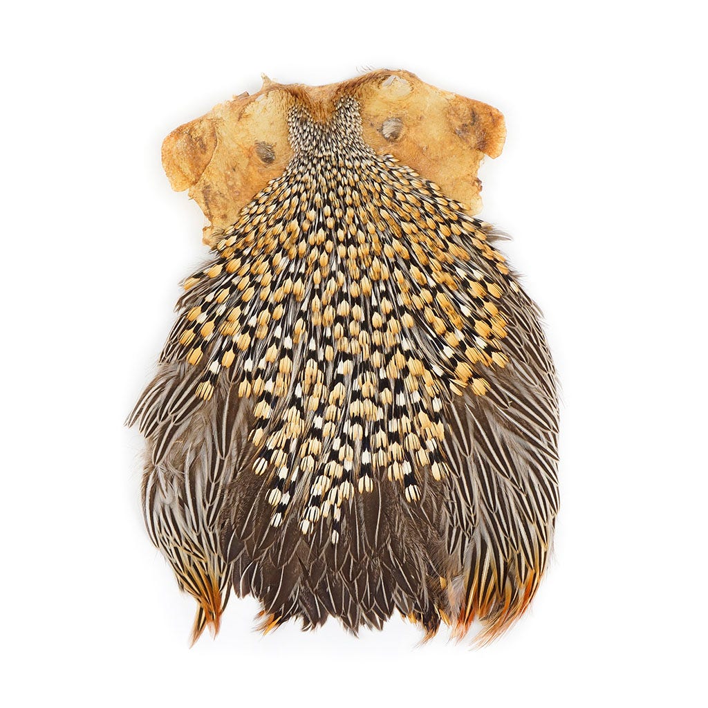 Jungle Cock Feather Cape - Natural