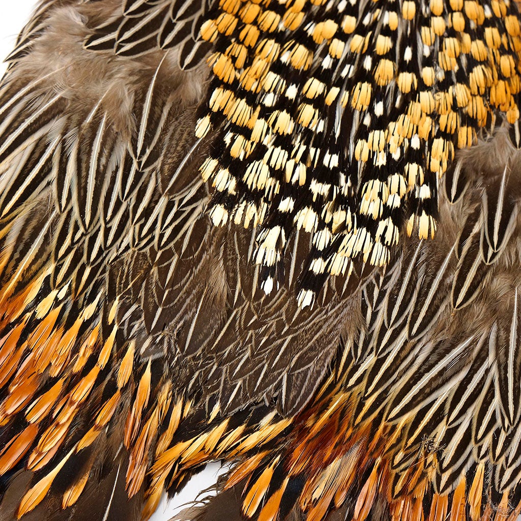 Jungle Cock Feather Cape - Natural