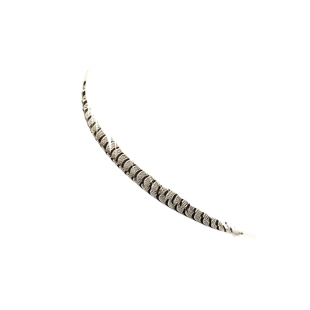 Lady Amherst Pheasant Tail Feathers - Natural