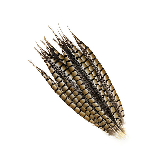 Lady Amherst's Pheasant feather – Usagi no Nedoko