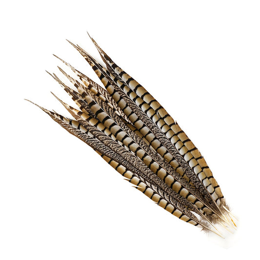 Lady Amherst Pheasant Tails - Natural - 16 - 20"