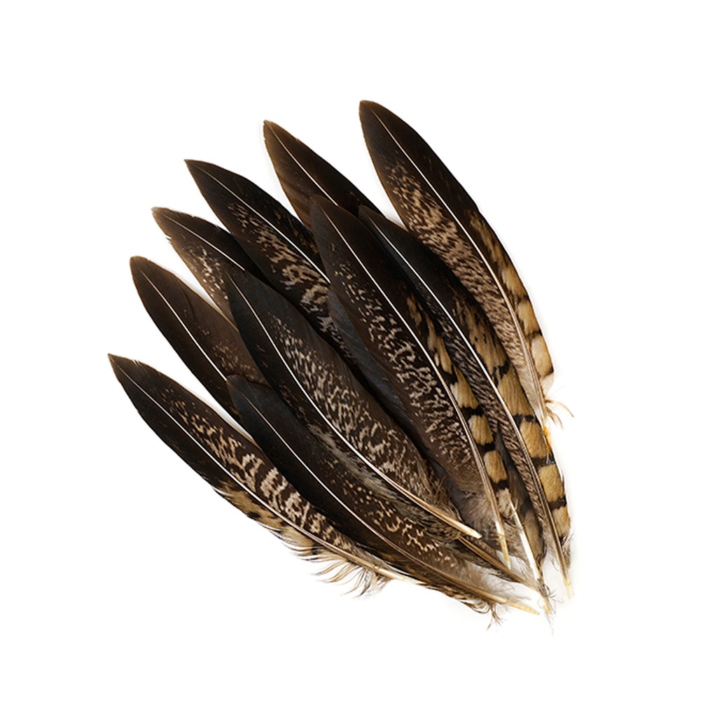 Lady Amherst Pheasant Tails - Natural - 4 - 6"