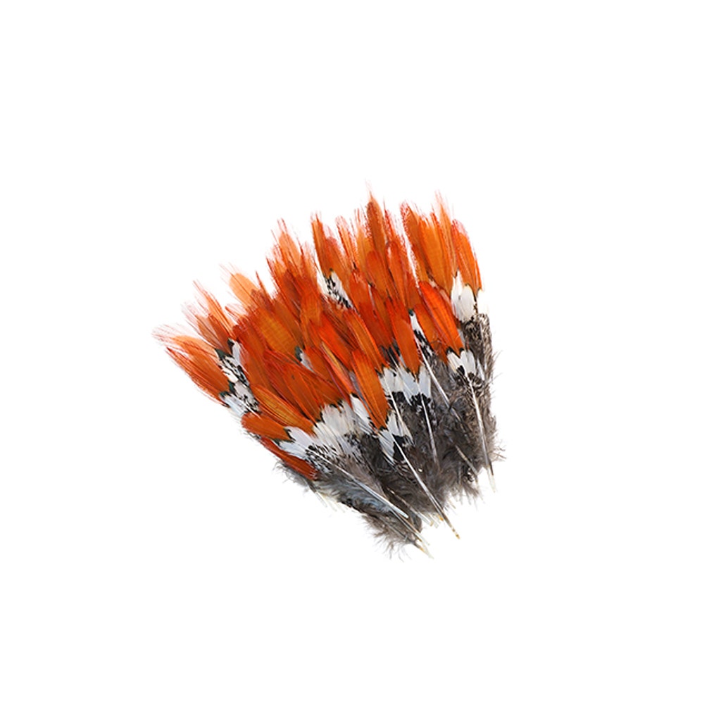 Natural Lady Amherst Red Top Tails | Buy 4-6 Inches Tail Feathers ...