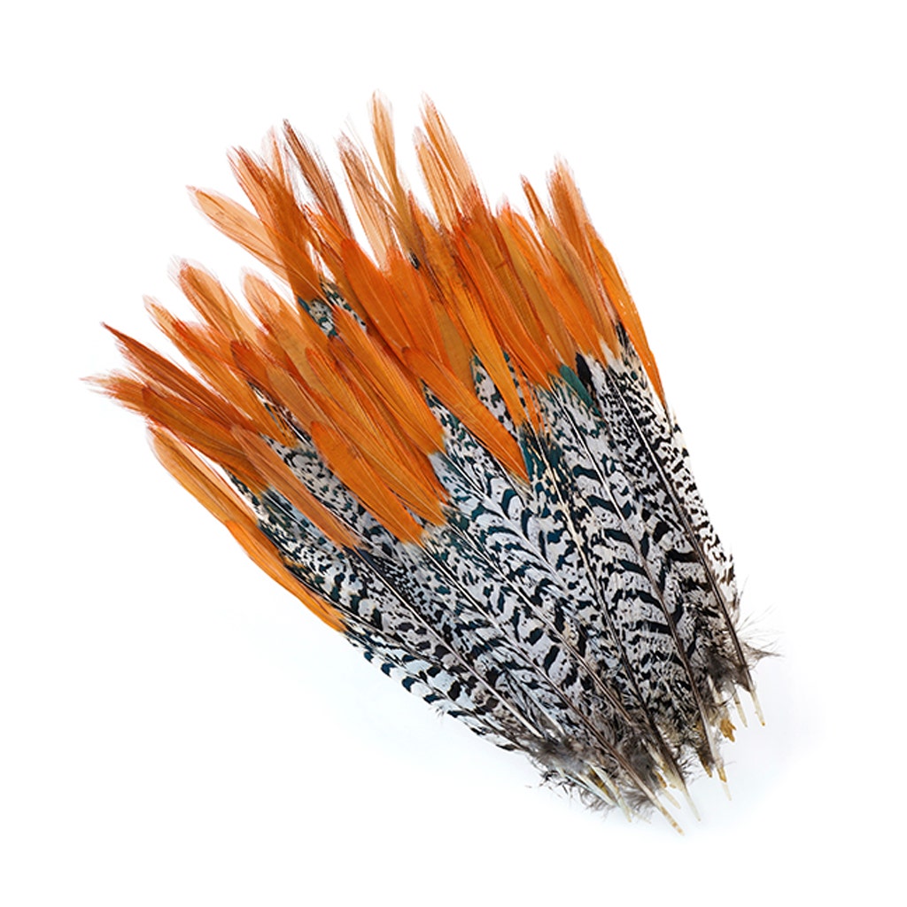 Natural Lady Amherst Red Top Tails | Buy 6-8 Inches Tail Feathers ...