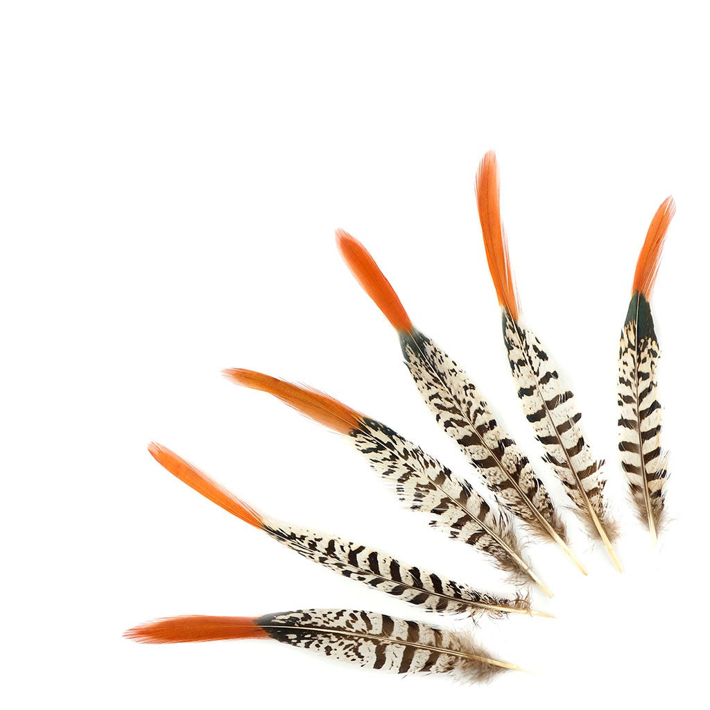 Lady Amherst Red Top Tail Feathers - Natural – featherplace.com by ...