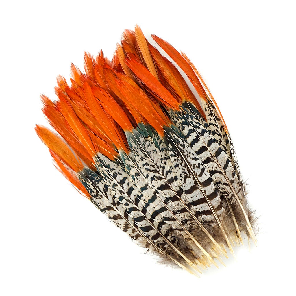Lady Amherst Red Top Tail Feathers - Natural – featherplace.com by ...