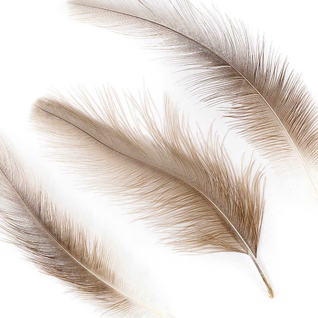 Rhea Tail Feathers Selected - Natural