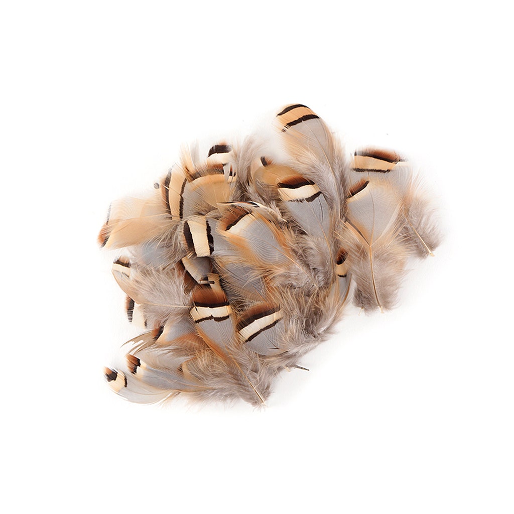 Partridge Plumage Feathers - Natural