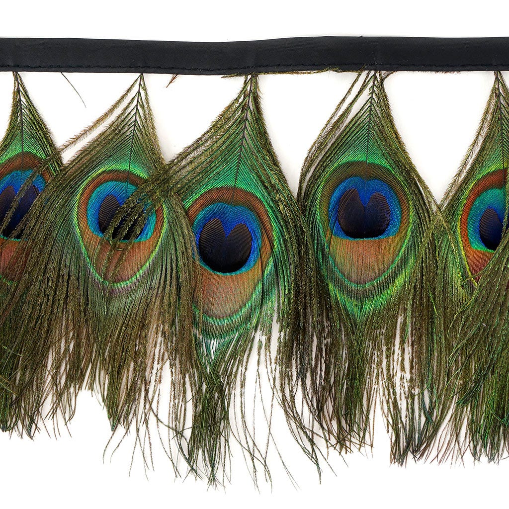 Peacock Eye Feather Fringe - 5YD - Natural