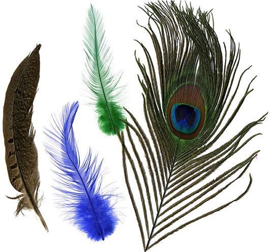 Peacock - Pheasant - Hackle Mix - Kelly - Natural