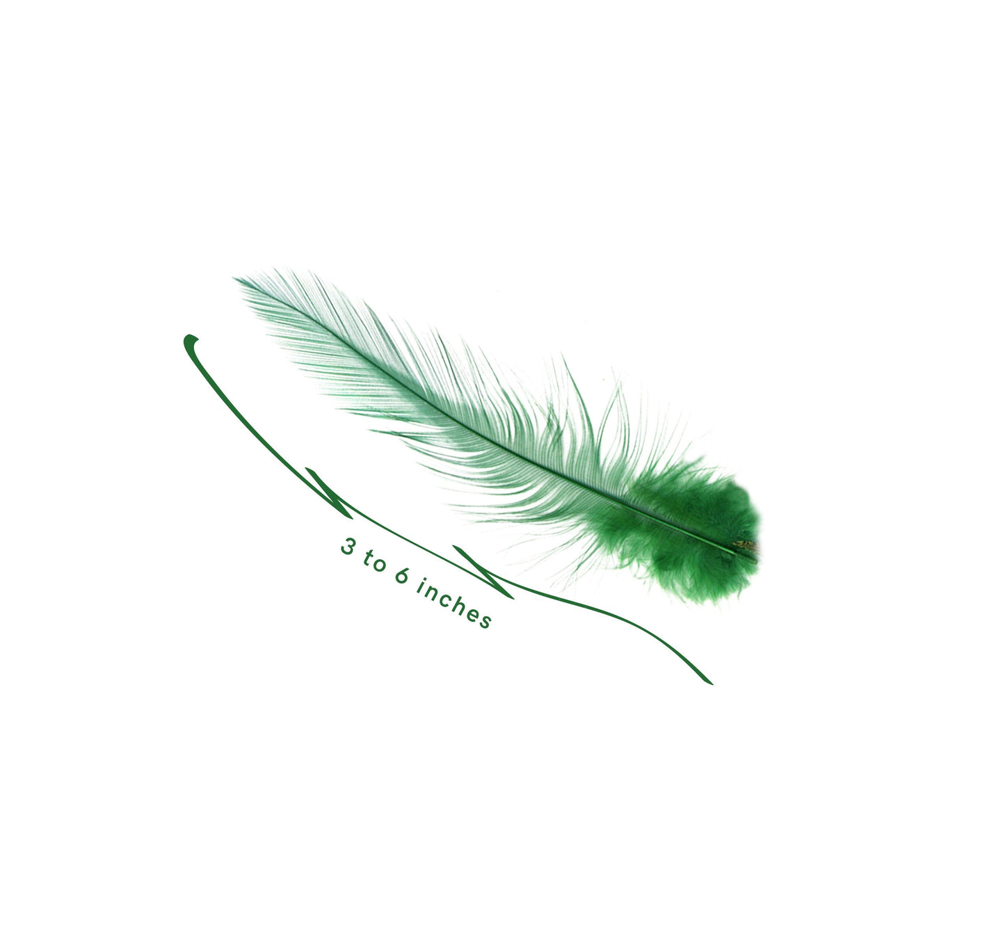 Peacock - Pheasant - Hackle Mix - Kelly - Natural