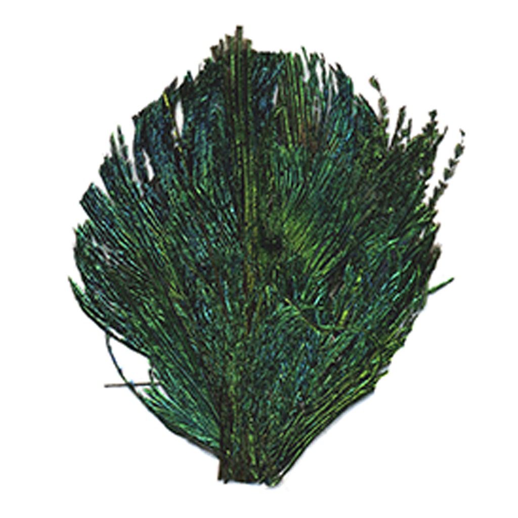 Peacock Sword Feather Pad - Natural