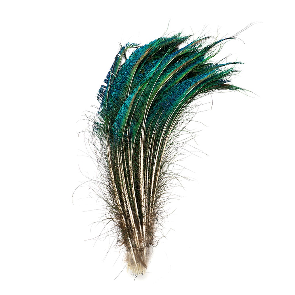 Peacock Feather Swords Natural - 15 - 25" - r