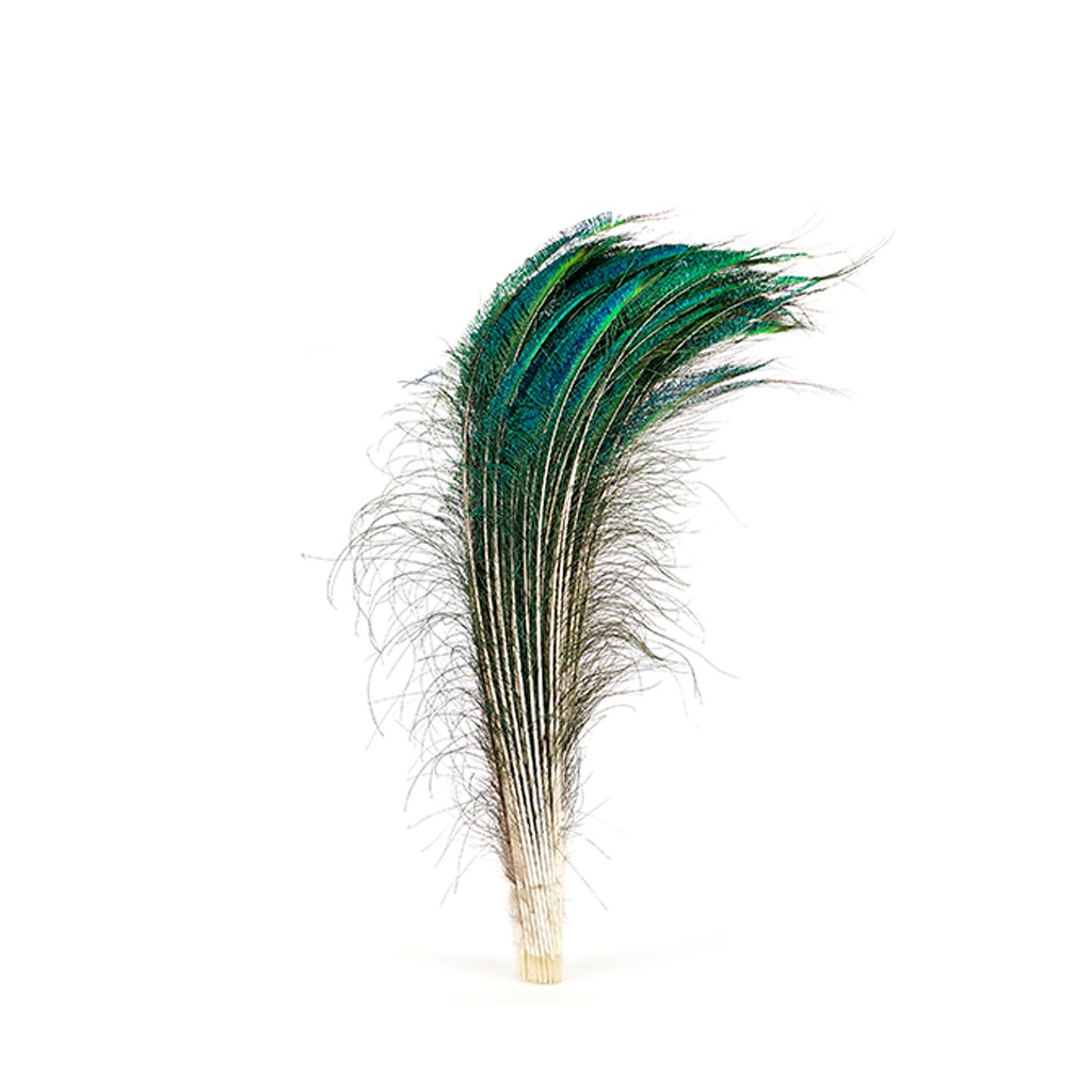 Peacock Feather Swords Natural - 30 - 40"