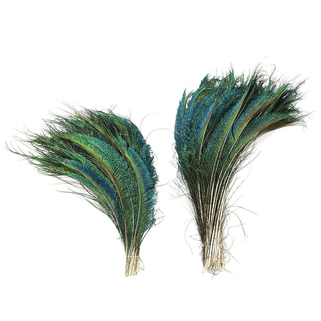 Bulk Feathers –  by Zucker Feather Products, Inc.