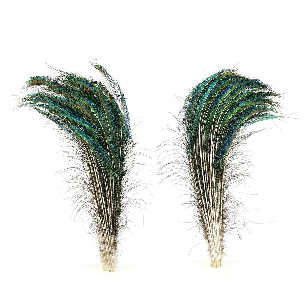 Peacock Feather Swords Natural - 25 -30" - 25pcs