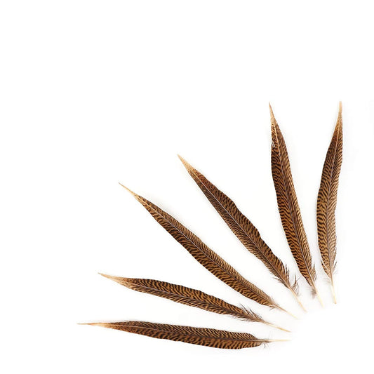 10 PC/PKG Golden Pheasant Tails 12-14"- Natural