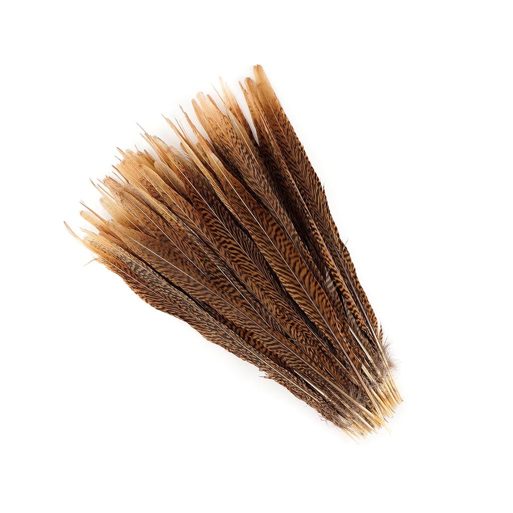 10 PC/PKG Golden Pheasant Tails 14-16" - Natural
