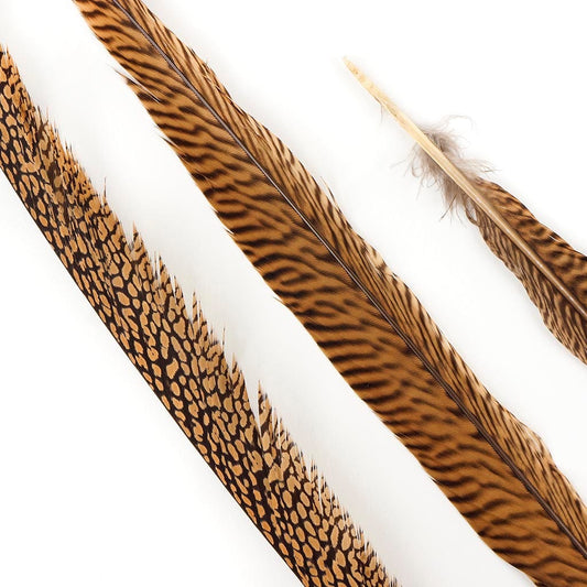 Golden Pheasant Feathers –  by Zucker Feather Products, Inc.