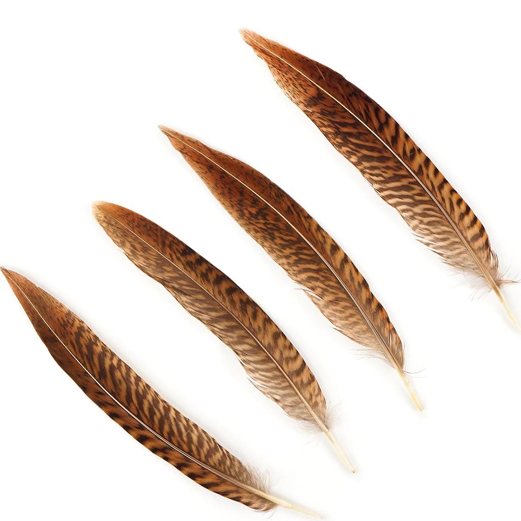 10 PC/PKG Golden Pheasant Tails Natural 4-6