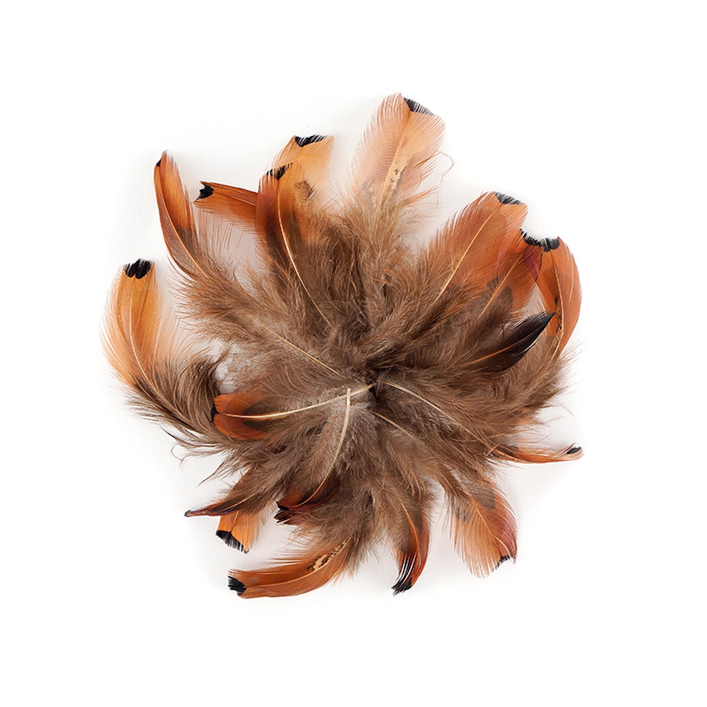 Heart Pheasant Plumage - Natural