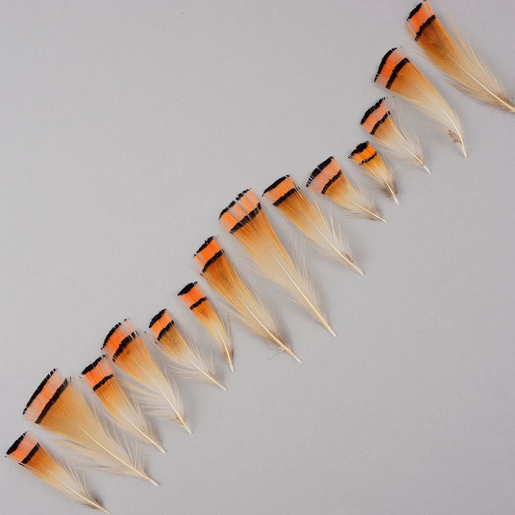 Pheasant Golden Crest Plumage 1-3.5" Natural