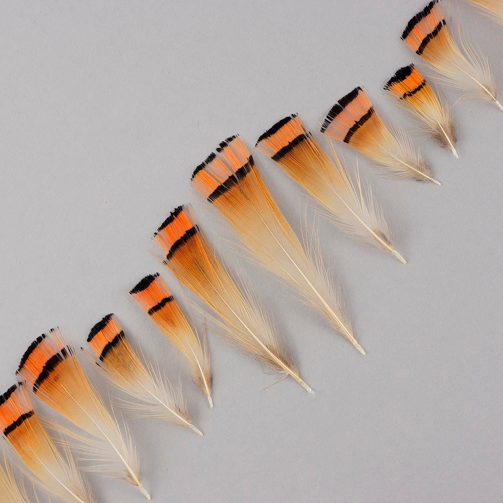 Pheasant Golden Crest Plumage 1-3.5" Natural