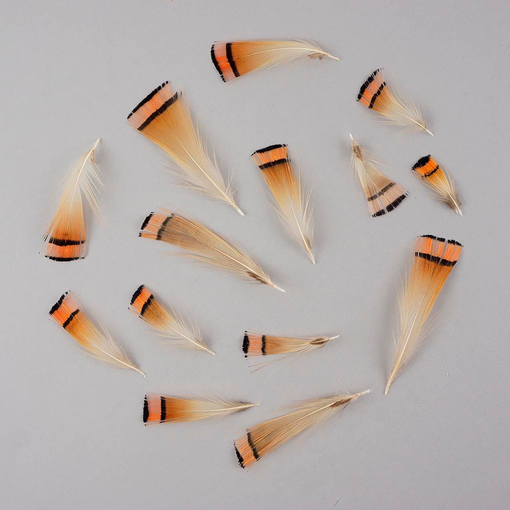 Pheasant Golden Crest Plumage 1-3.5" Natural