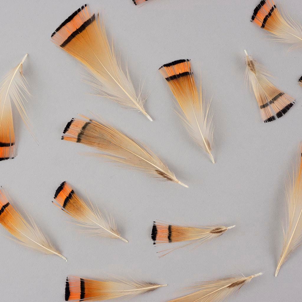 Pheasant Golden Crest Plumage 1-3.5" Natural