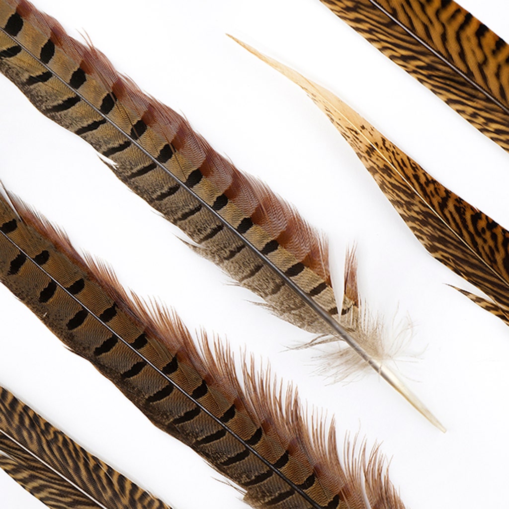 Pheasant Tails Assorted Natural -14 -18