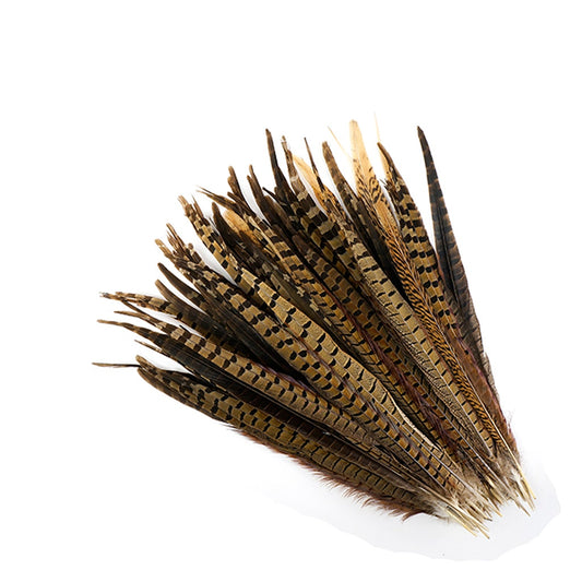 Pheasant Tails Assorted Natural -14 -18"