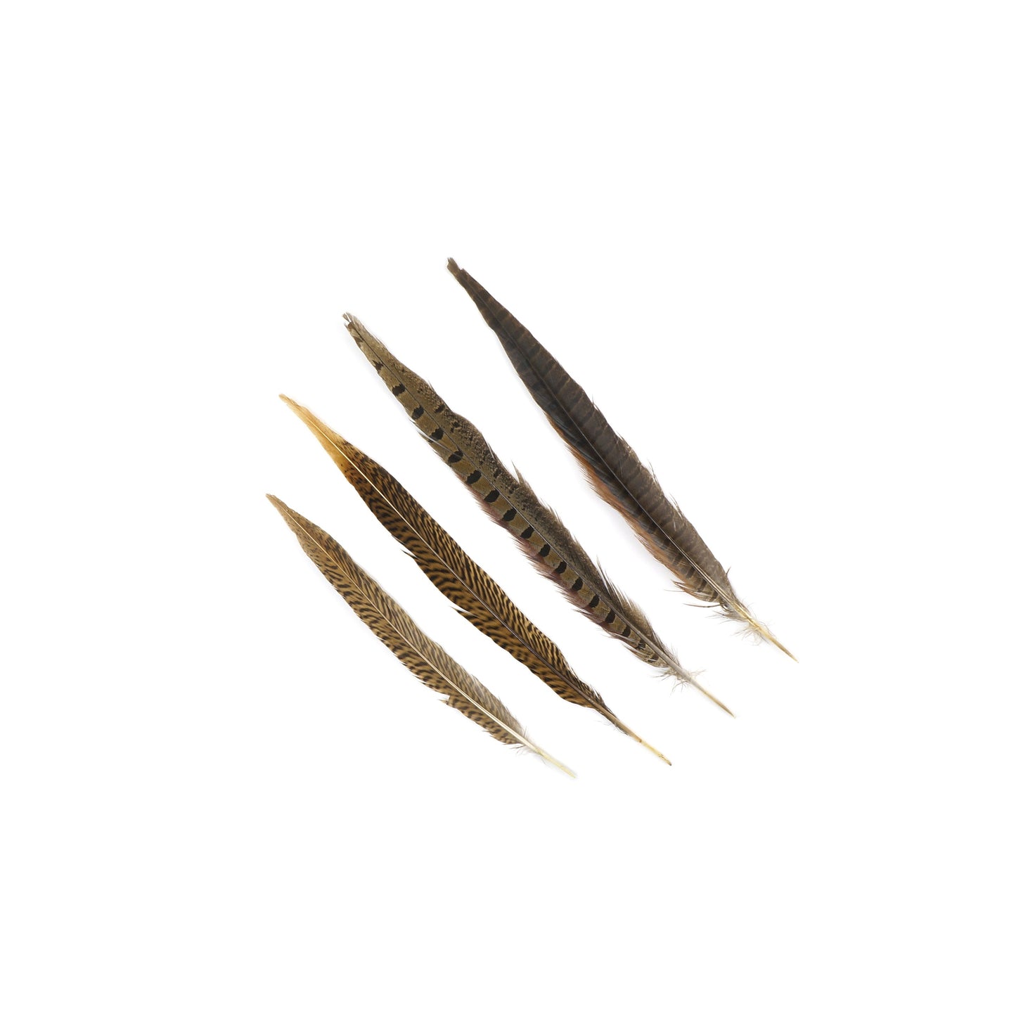 Assorted Pheasant Tails - Natural