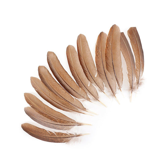 Pheasant Tail Feathers Dyed - Natural