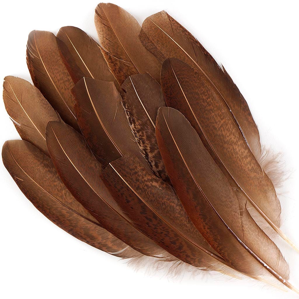Pheasant Tail Feathers Dyed - Natural