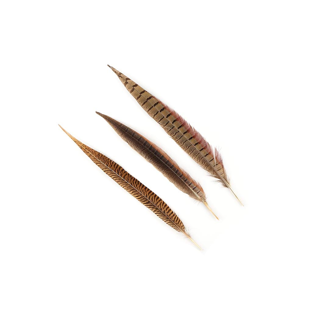 Pheasant Tails Assorted Natural - 8-14"
