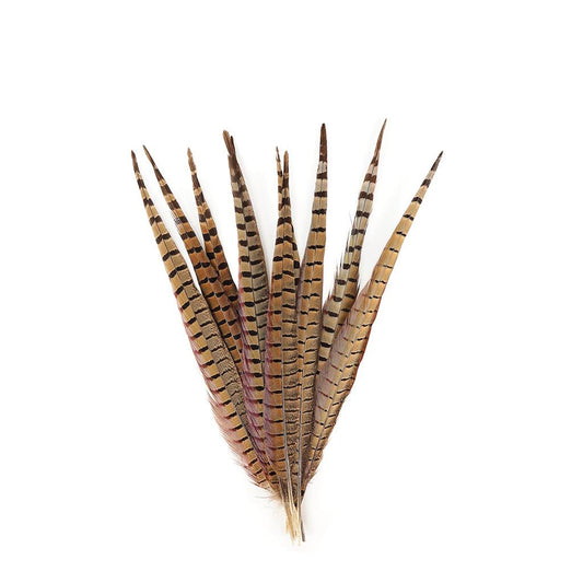 Pheasant Tails Assorted Natural -14-18"