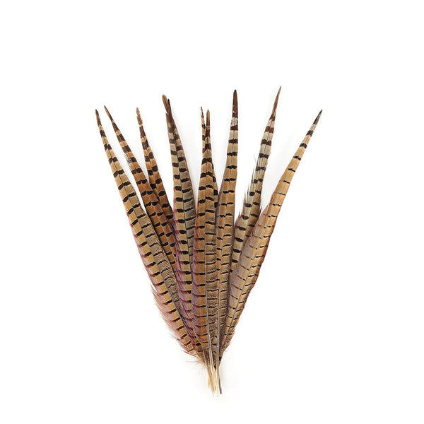 Pheasant Tail Assorted Bleached Natural Feather