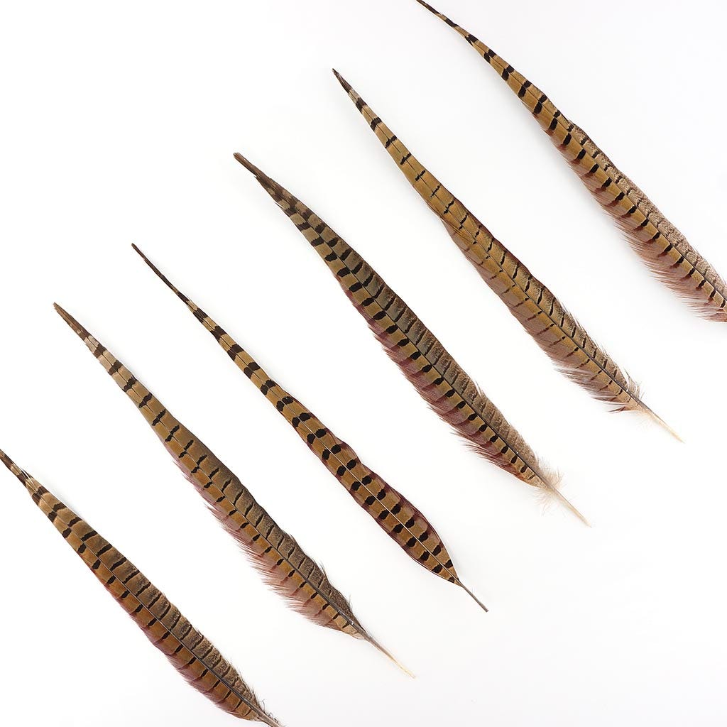 Pheasant Tails Assorted Natural -14-18"