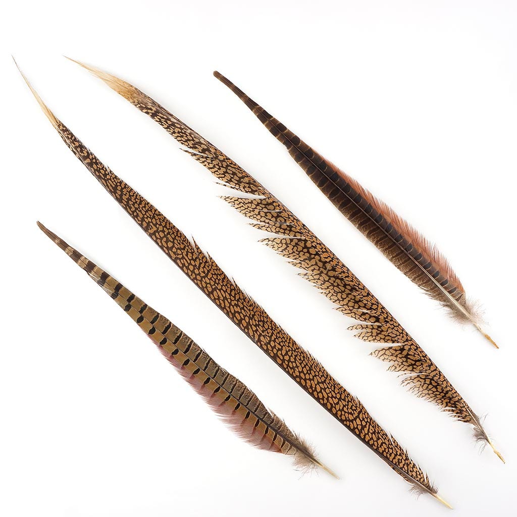 Pheasant Tails Assorted Natural -16-30"