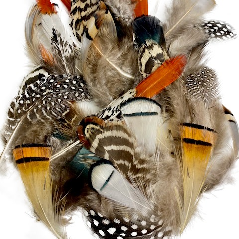 Hat Feathers 9 Pcs Assorted Natural Feather Packs Accessories for