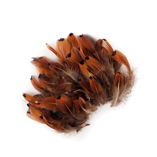 Orange Feathers, Almond Ringneck Feather