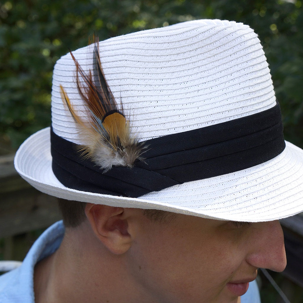 Hat Feather Trim With Hackle and Venery Pheasant - Natural