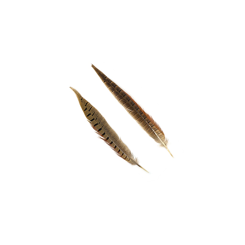 Ringneck Pheasant Tails - Natural - 10 - 12"