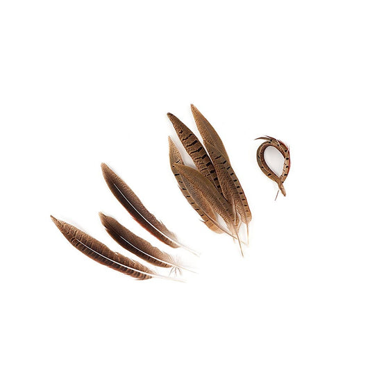 Ringneck Pheasant Tails Parried - Natural-6-8"