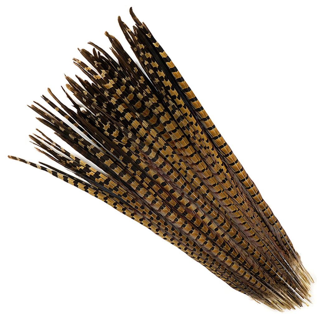10 PC/PKG Ringneck Pheasant Tails 20-24" - NATURAL
