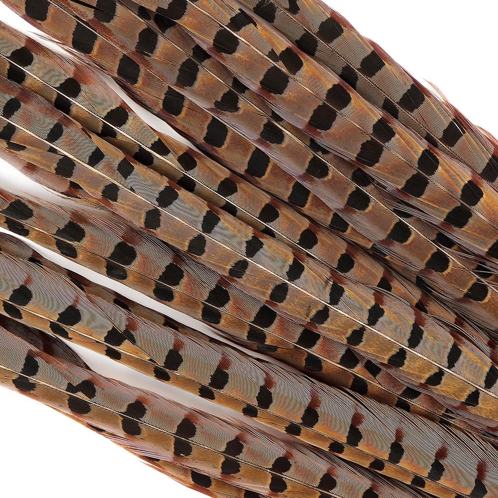 Ringneck Pheasant Tails - Natural- 30-35" - 12 pcs