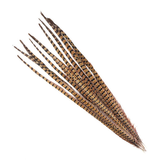 Ringneck Pheasant Tails - Natural- 30-35" - 12 pcs