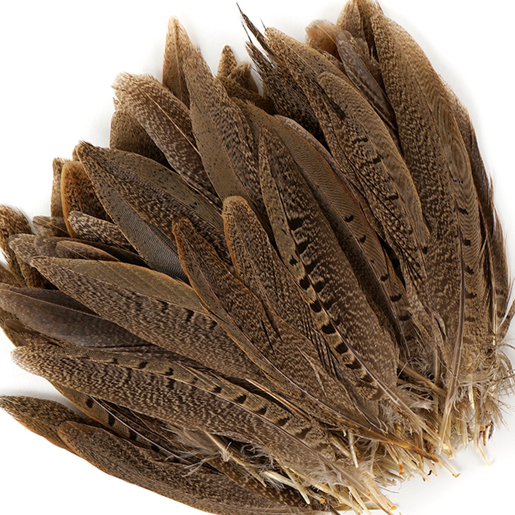 Ringneck Pheasant Feathers Featherplace By Zucker Feather ringneck-pheasant-feathers-featherplace-by-zucker-feather
